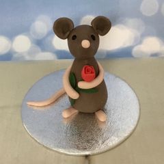 Mouse model kit £6